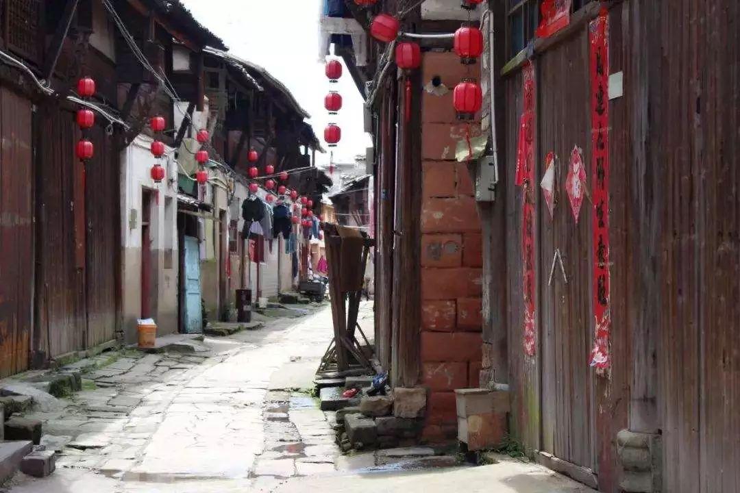 逃离白鸽之森